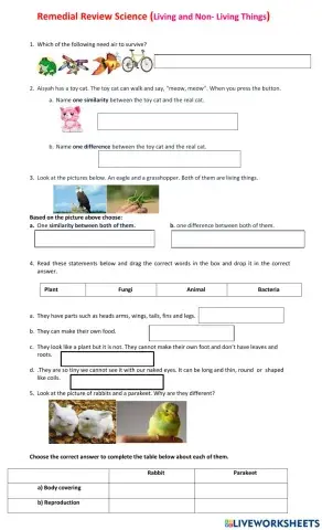 Remidial review Science Living and non living things