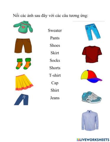 Bài tập về quần áo