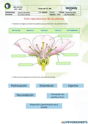 Ciencias Naturales