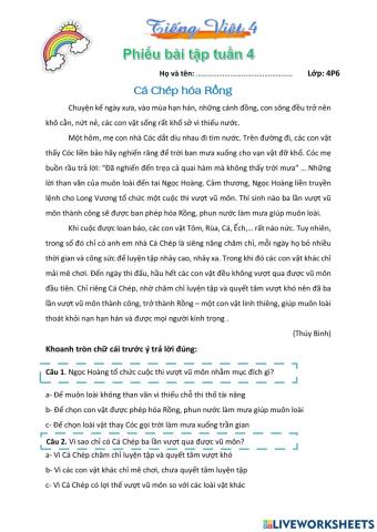 Vui tiếng việt cuối tuần