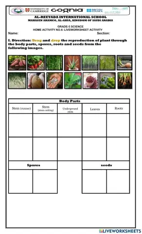 Grade 5: Plant Reproduction