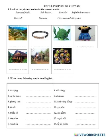 English 8- Unit 3 Test: Peoples of Viet Nam