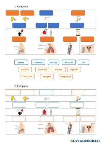 Naturals - La nutrició (3)