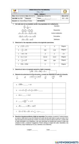 Números Irracionales