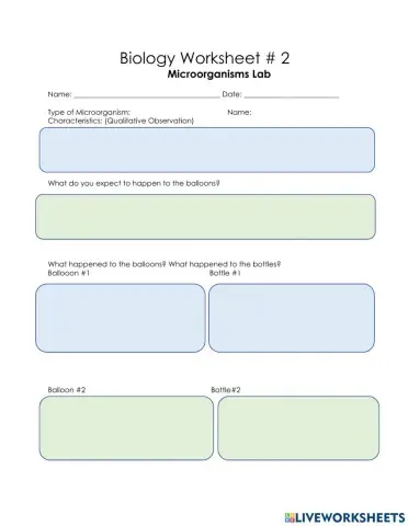 Biology Microorganisms Lab