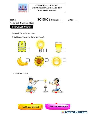 Unit 4 Light and Dark - Progress Check