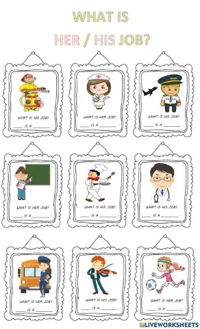 What is his - her job?