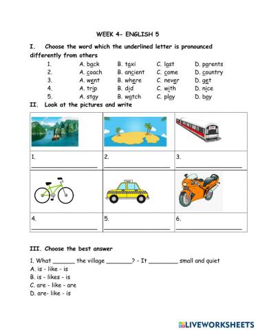 Week 4- English 5