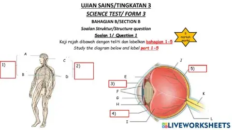 UJIAN SAINS TINGKATAN 3 BAHAGIAN 2 (SOALAN STRUKTUR)