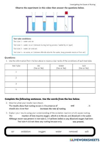 Rust Formation Activity