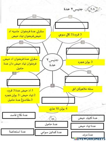 مناكحات درجه 6