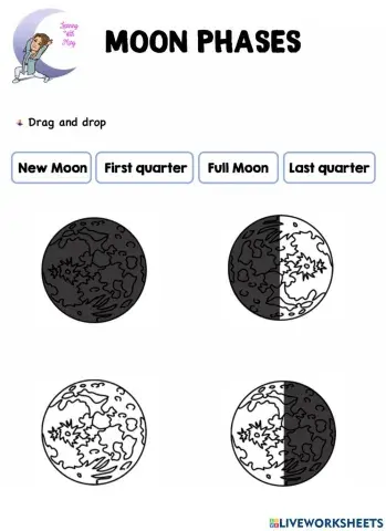 Moon Phases