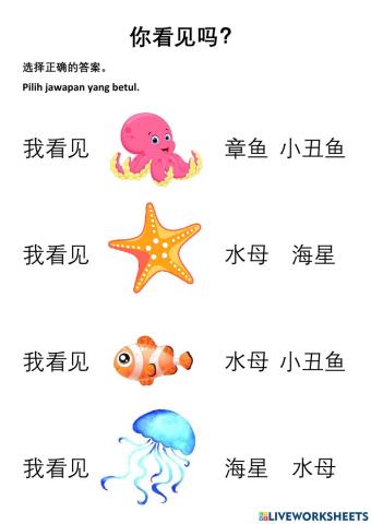 海洋生物