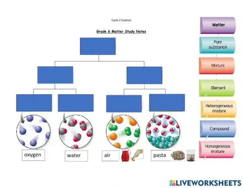 Classifying Matter Practice