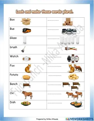 Making plurals with es