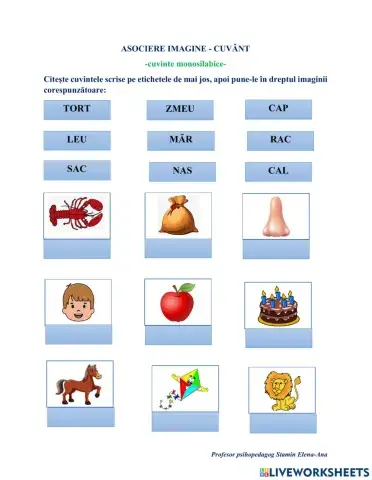 Asociere imagine-cuvânt (cuvinte monosilabice)