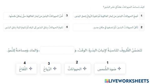 درس 31 تكاثر البذور ومغطاة البذور