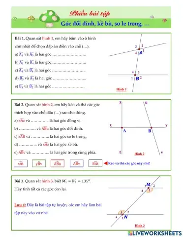 Hai góc đối đỉnh, kề bù, so le trong, ...