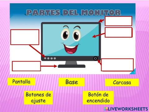 El monitor y sus partes