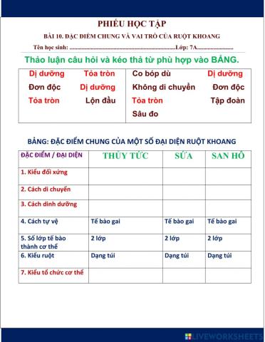 Đặc điểm chung của Ruột khoang