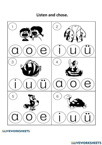 Pinyin-Finals 单韵母