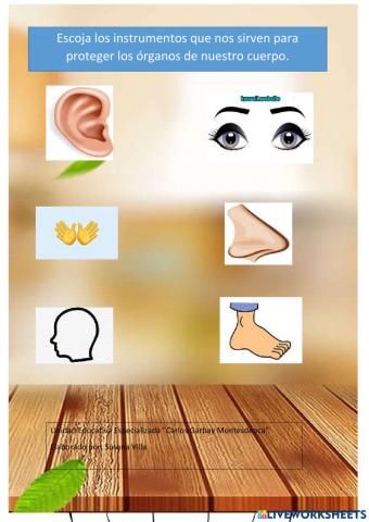 Seguridad Taller Madera