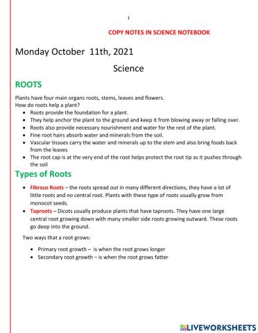 Roots notes