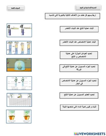الامتصاص و النتح