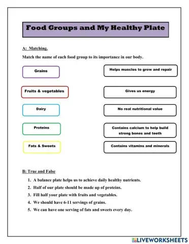 Food Groups and My Plate
