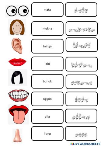 Mga Bahagi ng Mukha Finger Spelling