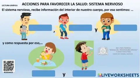 Salud:Sistema nervioso