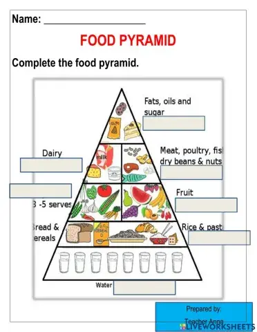 Food Pyramid