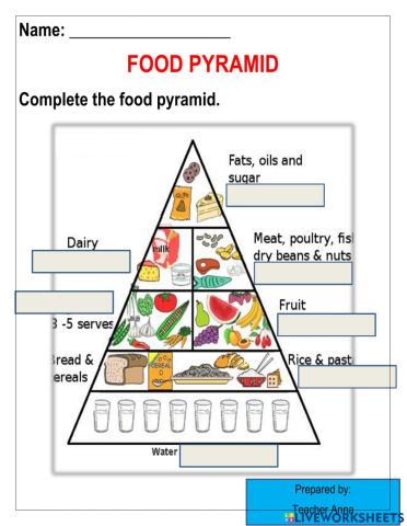 Food Pyramid