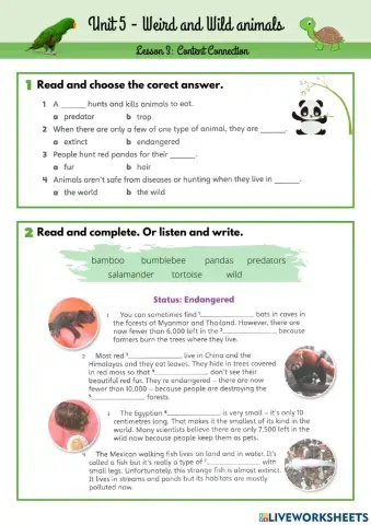 Weird and wild animals