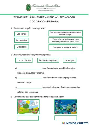 Examen de ciencia