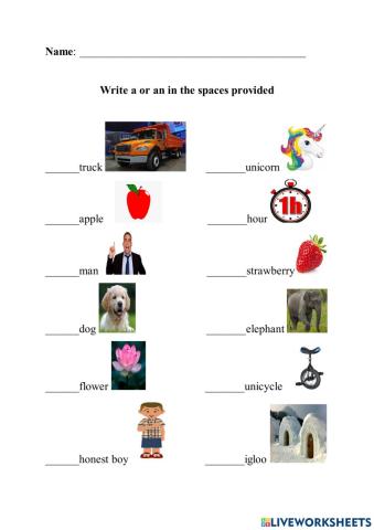 The use of a and an with exceptions