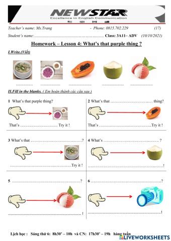 3A11-Lesson 4- What's that purple thing