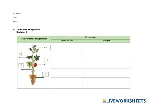 Bagian tumbuhan kelas 8
