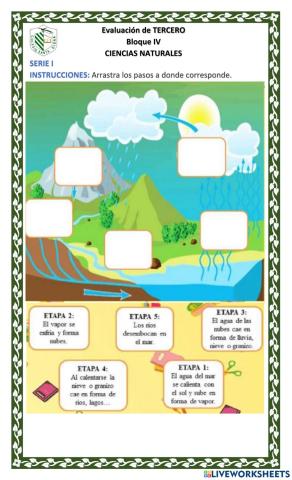 Examen ciencias naturales