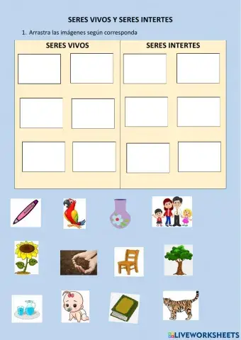 Seres vivos e inertes