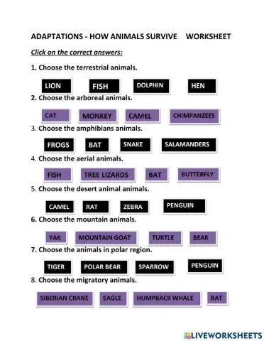 Adaptations in Animals