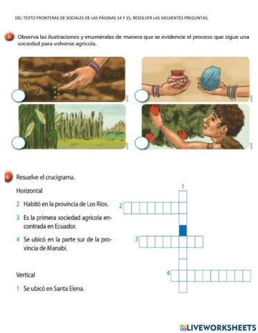 Sociedades agrícolas aborígenes