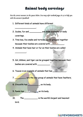 Animal body coverings