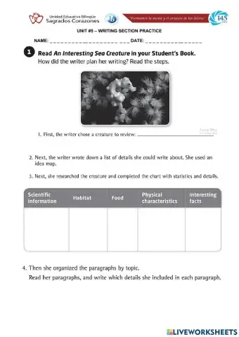 Writing Section - Information Report