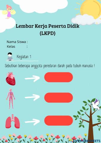 Lkpd kelas 5 - peredaran darah manusia