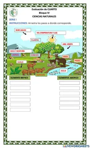 Examen final ciencias naturales cuarto