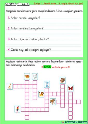 Okuma-Anlama Güzel Arı