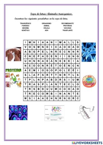 Animales transgenico