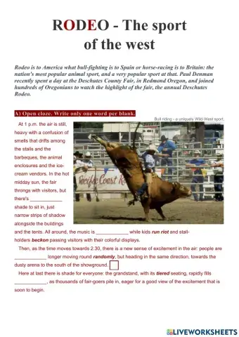 RODEO - The Sport of the West