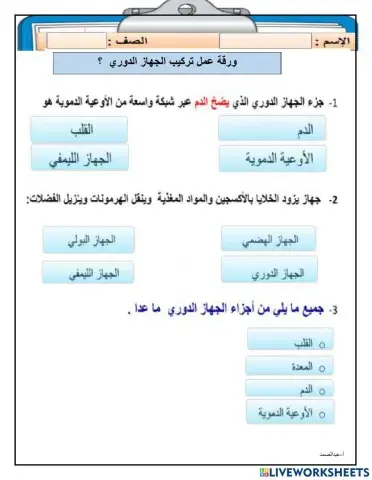ورقة عمل الجهاز الدوري